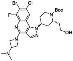Figure BDA0003993773060002261