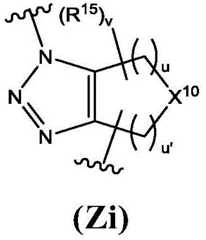 Figure BDA0003131611270000322