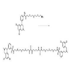 Figure 112011059052603-pct00390