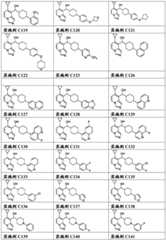 Figure FDA0003289571880000061