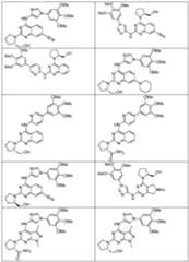 Figure imgf000718_0001