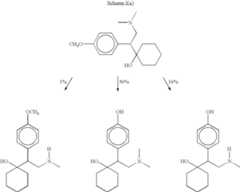 Figure US08269040-20120918-C00001