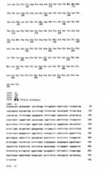 Figure IPA00001252299400111