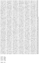 Figure IDA00002091897101351