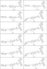 Figure PCTCN2022073822-appb-000369