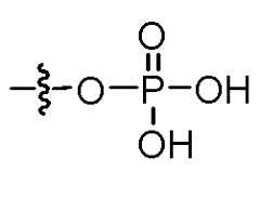 Figure imgf000230_0001