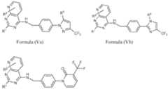 Figure imgf000010_0002