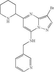 Figure US07119200-20061010-C02052