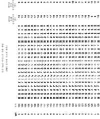 Figure 112010002911839-pct00122