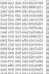 Figure IDA0002536600790001281