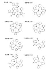 Figure G2009101683156D00521