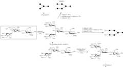 Figure US10005847-20180626-C00028