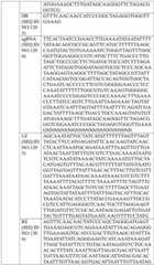 Figure BDA0004033970230006151