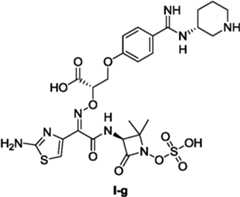 Figure GPA0000290633380001091