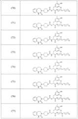 Figure A20068000958600651