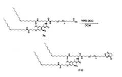 Figure JPOXMLDOC01-appb-C000084