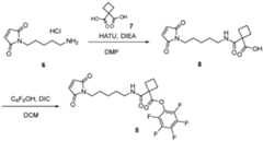 Figure imgf000067_0002