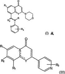 Figure A20081009557300381