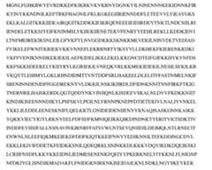 Figure imgf000099_0002