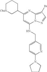 Figure US07119200-20061010-C01310