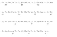 Figure 108123466-A0305-02-0855-955