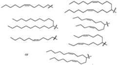 Figure imgf000024_0001