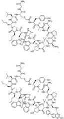 Figure imgf000007_0001