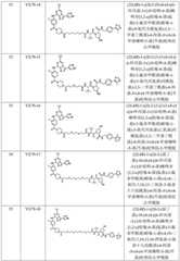 Figure BDA0002964098100002661