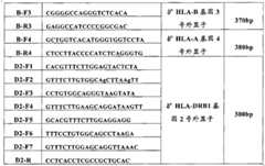 Figure BSA00000171256600151