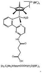 Figure BDA0001528042680000111