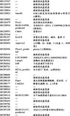 Figure BDA0000057170160000451