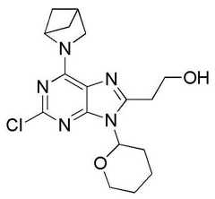 Figure BDA0001402557760002101