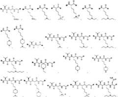 Figure PCTCN2022073822-appb-100057