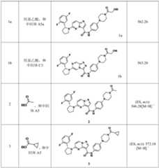 Figure PCTCN2021093930-appb-000060