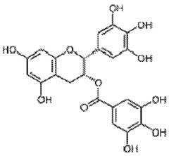 Figure imgf000048_0003