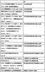 Figure BSA0000176163890000141