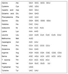 Figure imgf000039_0001