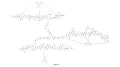 Figure 0007704732000105