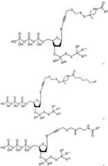 Figure BDA0003670511740001912