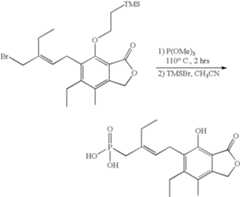 Figure US07427636-20080923-C00239