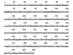 Figure 104119613-A0202-12-0186-176