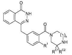 Figure 112005050535669-pct00025