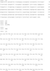 Figure IDA00001750263300791