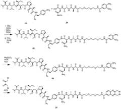 Figure BDA0001204994530000181