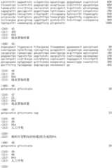 Figure IDA0002536600790000261