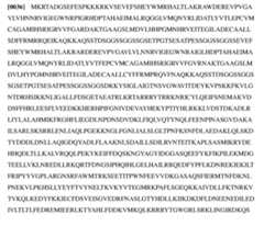 Figure imgf000011_0001