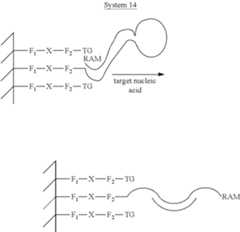 Figure US08741585-20140603-C00012