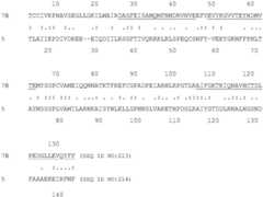 Figure BDA0004113341620000662