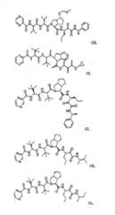 Figure G2009101493490D00881