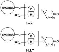 Figure BDA0003783300830000655